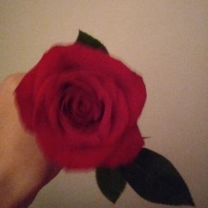 Meet your Posher, Jaclynn